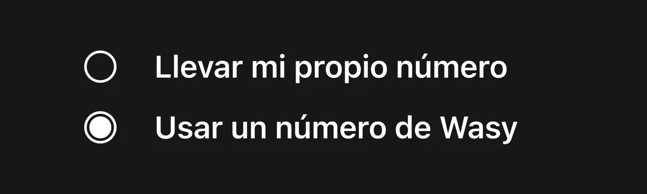 Agregando un numero en Wasy